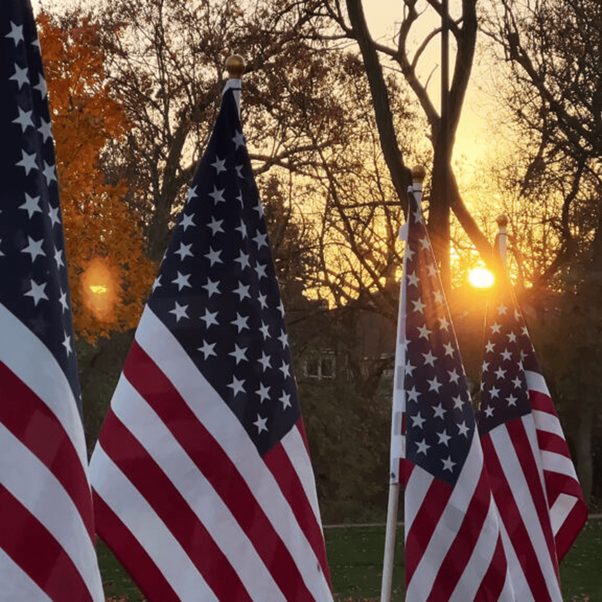 Enhancing Veterans Trust Fund